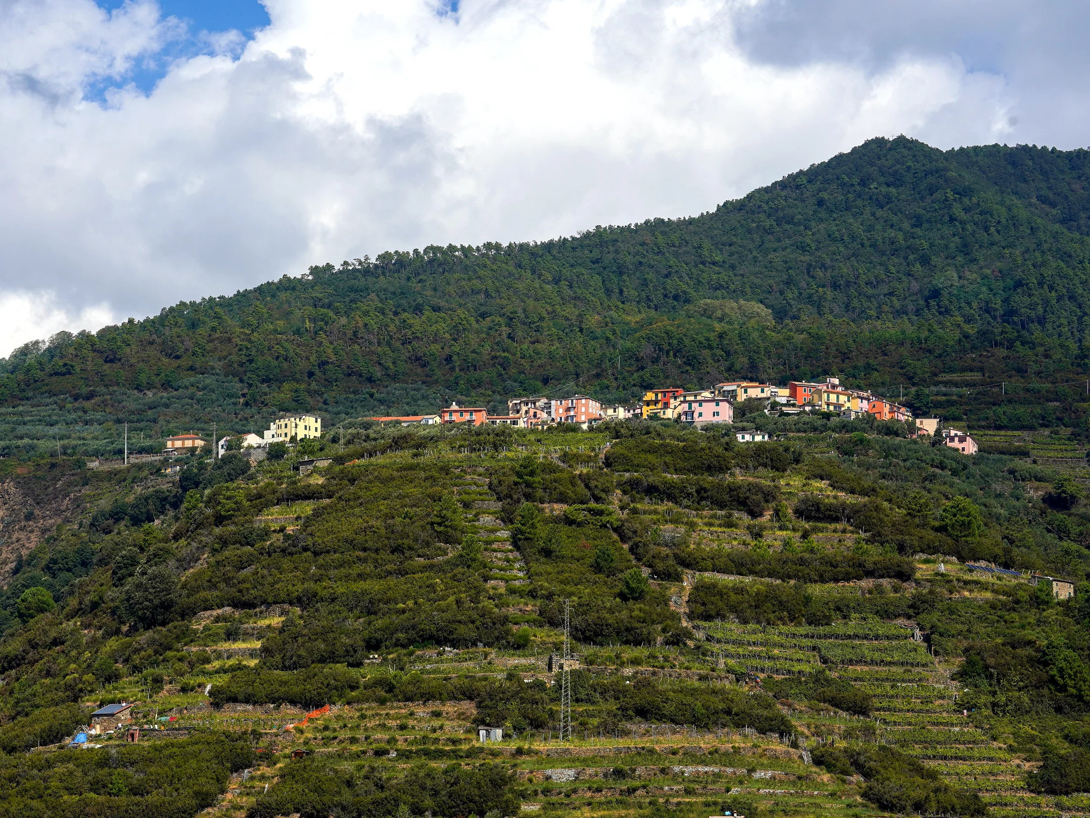 Volastra tra i terrazzamenti, sopra le Cinque Terre.